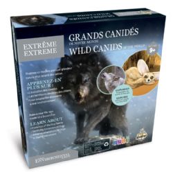 WES EXTRÊME – GRANDS CANIDÉS